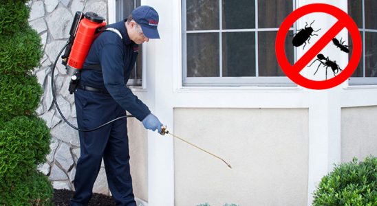 Bozkır Dezenfeksiyon böcek ilaçlama ve haşere kontrolü — ilaclama-tr.com